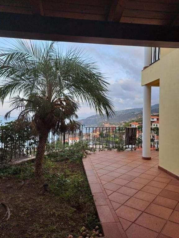 리베이라브라바 Sea View House 아파트 외부 사진
